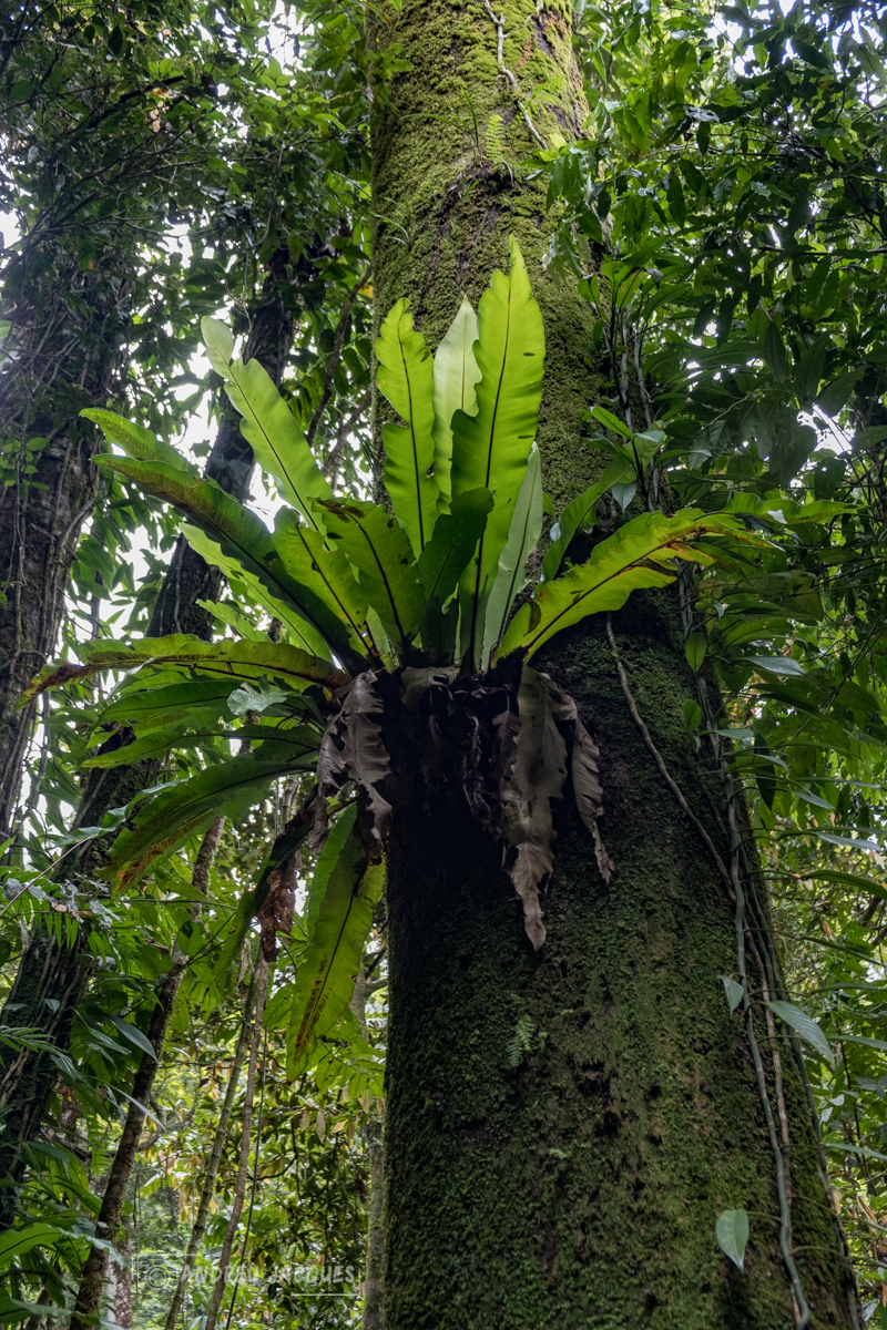 australie 2018-71.jpg